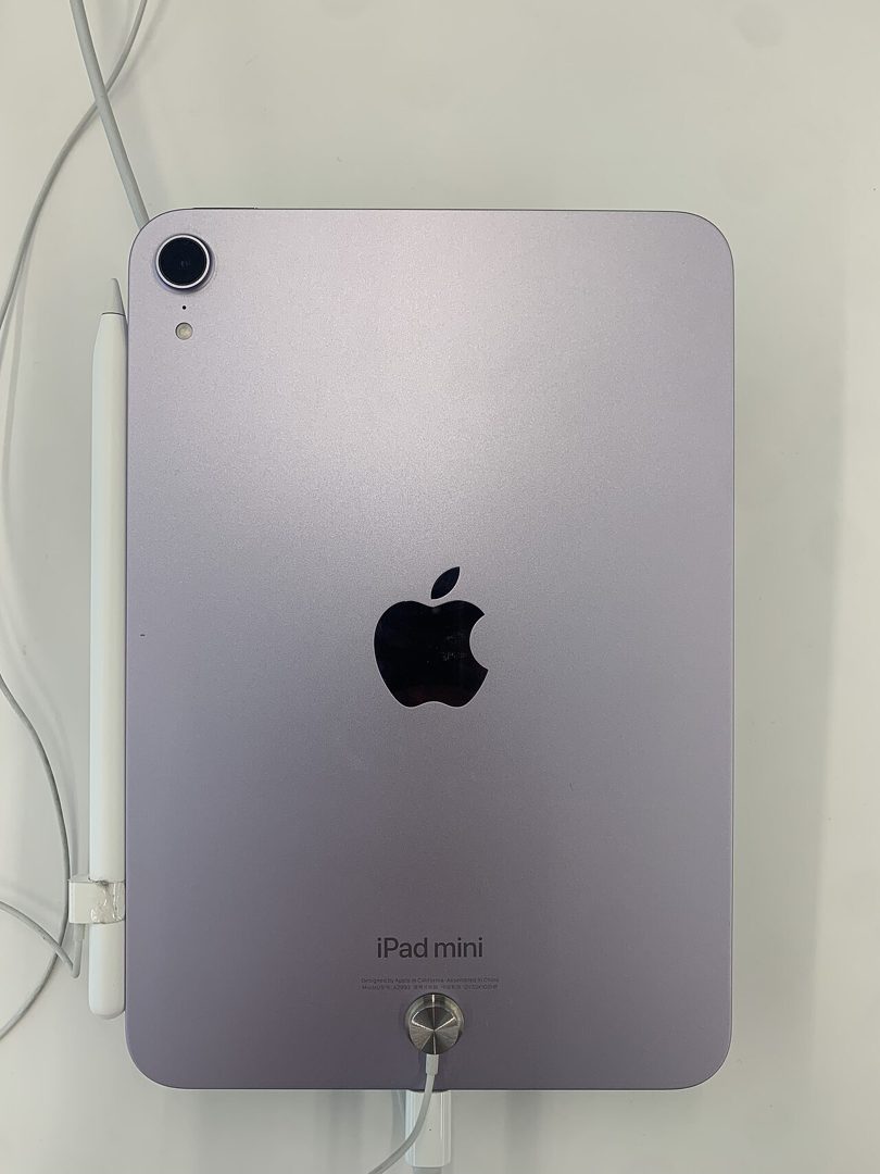 Back of the iPad mini